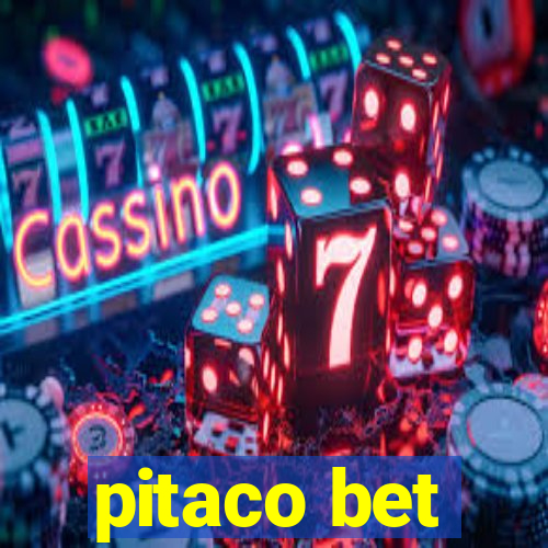 pitaco bet